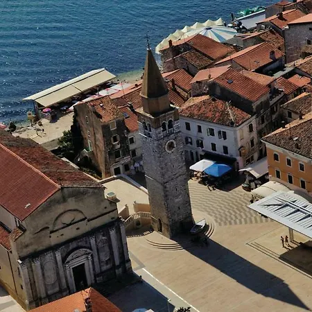 Katarina * Crveni Vrh